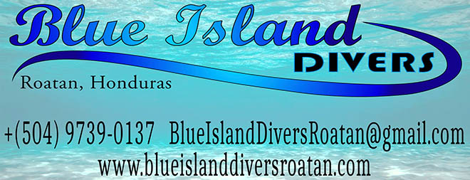 With the Island of Roatan being surrounded by the worldâs second largest barrier reef, the Mesoamerican reef, you are minutes from amazing diving. Blue Island Divers offers diving for all levels of divers, including shallow dives, wall dives, wrecks, night dives and areas with drop offs, caverns and swim-throughs for the more adventurous.  If you are ready to greater your diving knowledge, we offer many courses and specialties or GoPro and become a divemaster!  We offer it all!  We focus on quality service, personal attention and safety all in a laid back atmosphere.